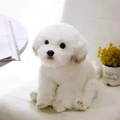 Real-like Maltese Dog Plush