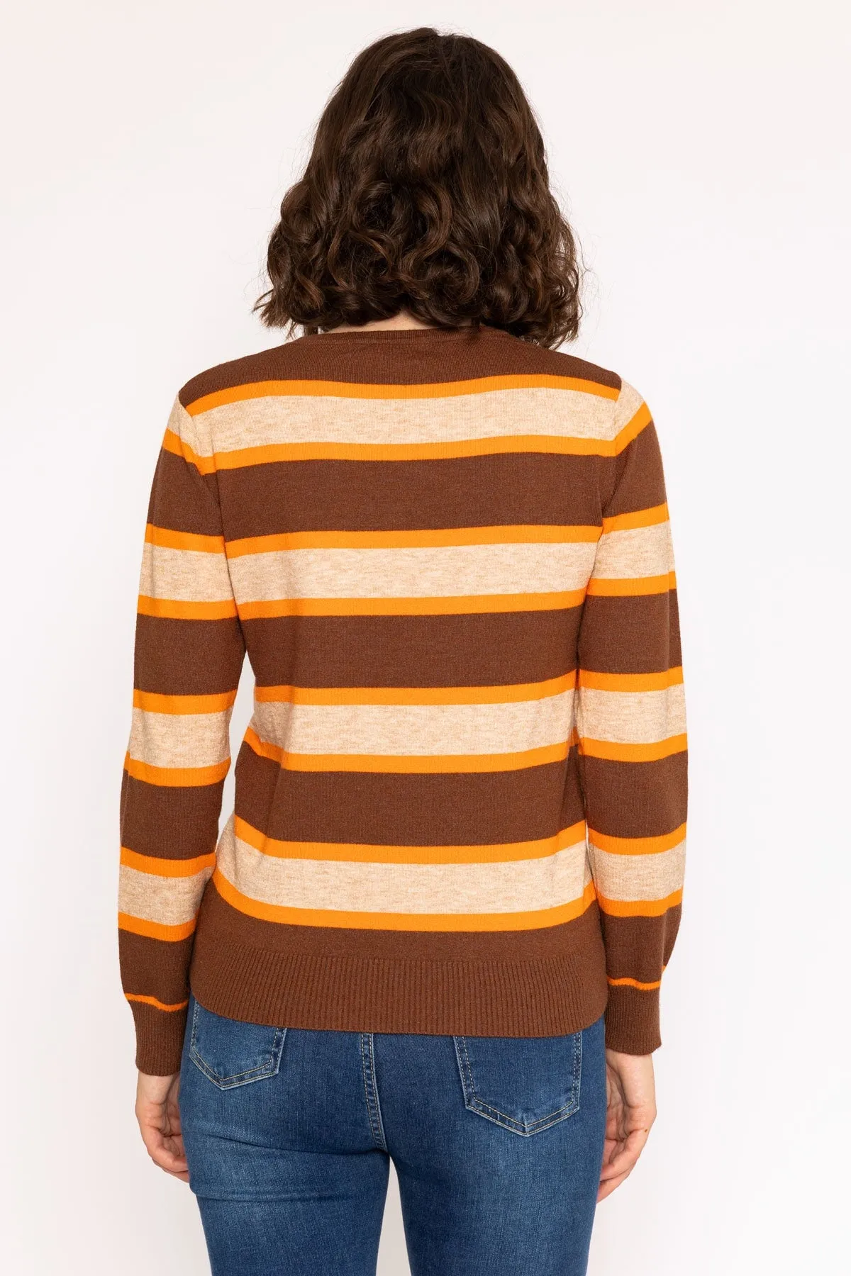 Soft Touch Stripe Knit Jumper in Brown